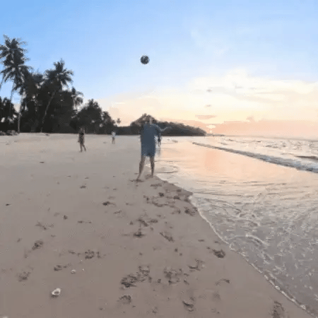 REPROCAM. Pov Recording Camera